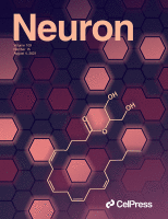 /pubfigs/Neuron_Jordan_2021.png